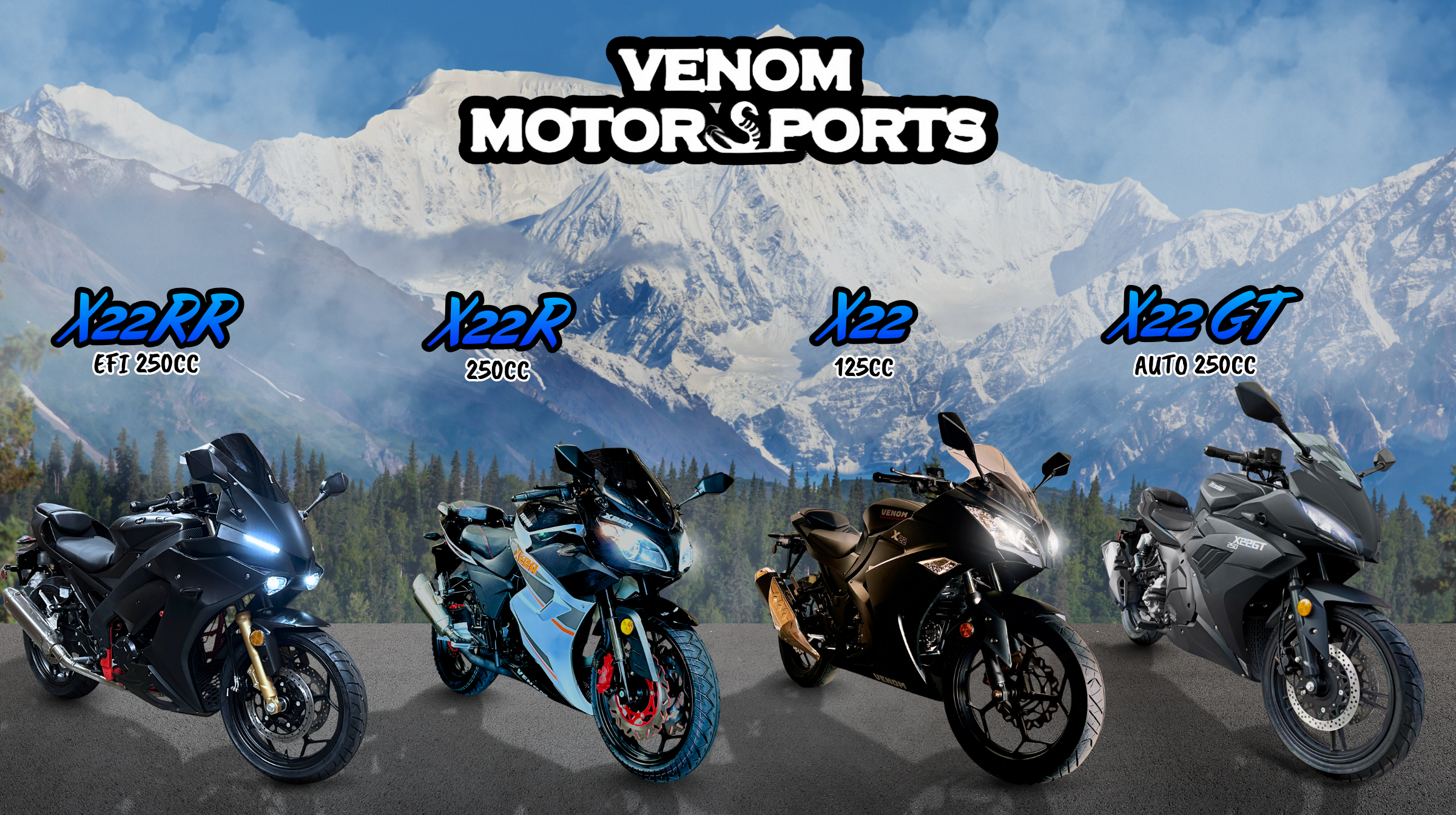 Is 300cc Too Much for a Beginner Rider?