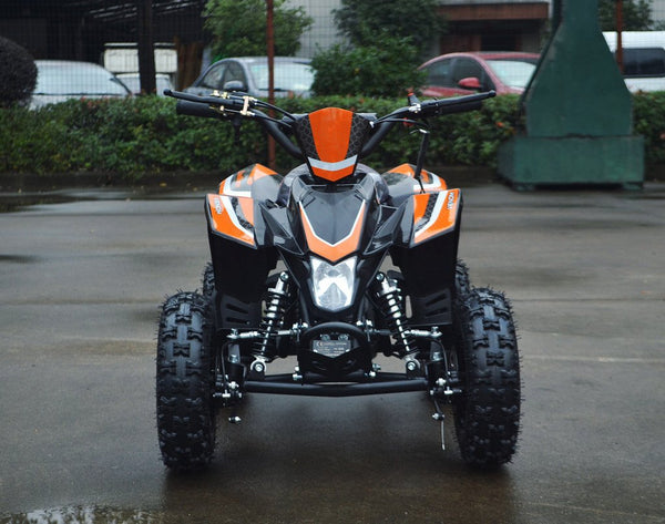 Common Misconceptions Regarding the Electric ATV You Can Steer Clear Of!