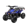 Rex 110cc ATV | 4-Stroke Automatic Transmission Blue