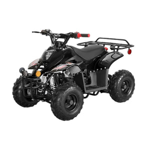 Rex 110cc ATV | 4-Stroke Automatic Transmission Black