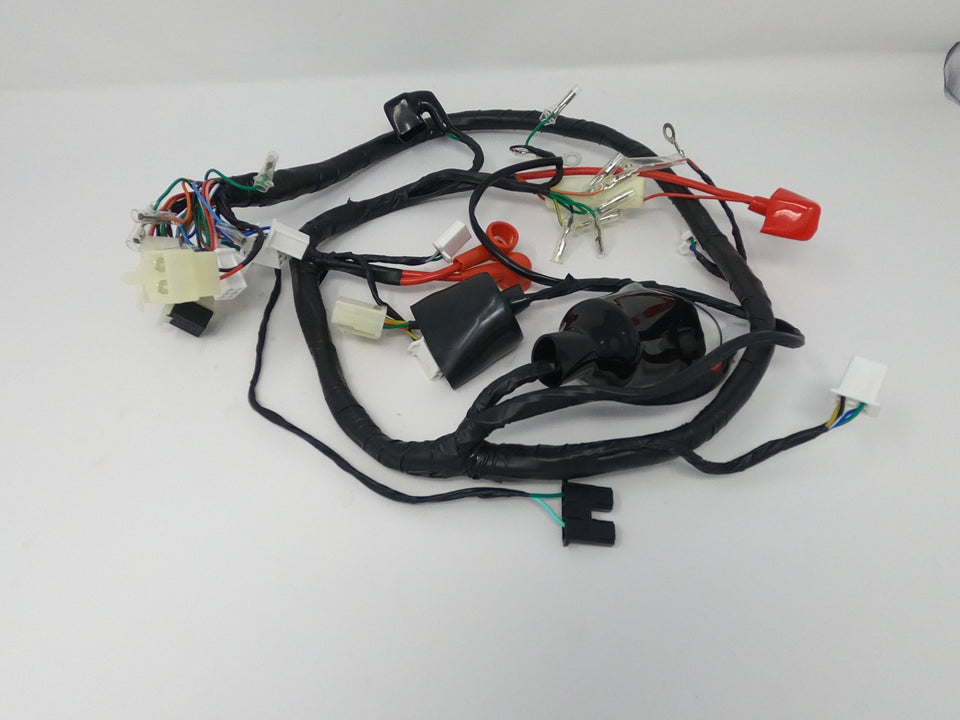 Venom X20 125cc Motorcycle | Wiring Harness (08010145)