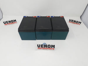 Venom 1000w E-Racer ATV | Battery Cells (17809020020)