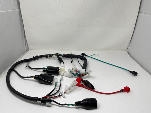 Venom Ghost 250cc Chopper | Wiring Harness (08010147)