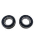 1300W E-Madix ATV | Front Wheel Bearing 6902RS (304290013)