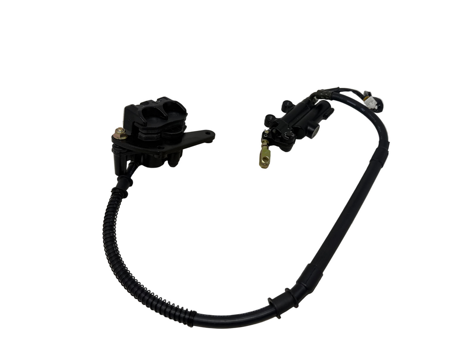 X19 200cc Automatic Motorcycle | Rear Brake Assembly (4010133)