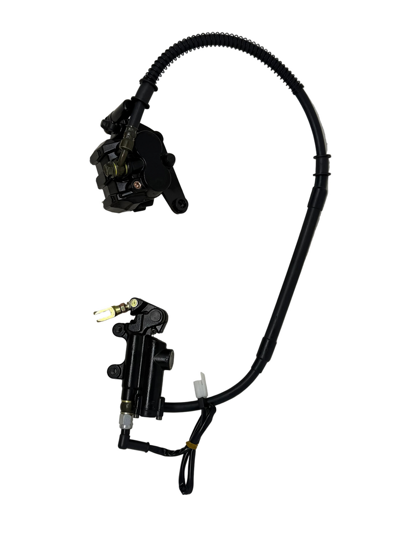 X19 200cc Automatic Motorcycle | Rear Brake Assembly (4010133) X19 200cc Automatic Motorcycle | Rear Brake Assembly (4010133)
