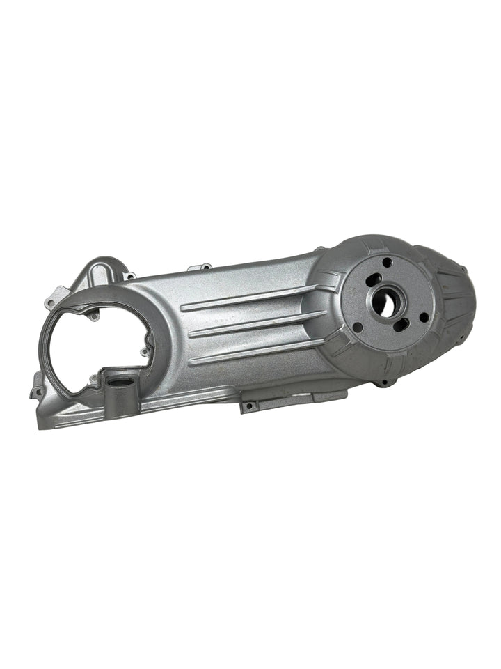 X22GT EFI Fuel Injected Motorcycle | Left Crankcase Cover (YYSLL250801)