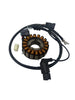 X22GT EFI Fuel Injected Motorcycle | Magneto Coil (Stator) (YYSLL2501302)