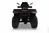 Predator 300cc ATV | Full Size EFI | Automatic Transmission | 4WD