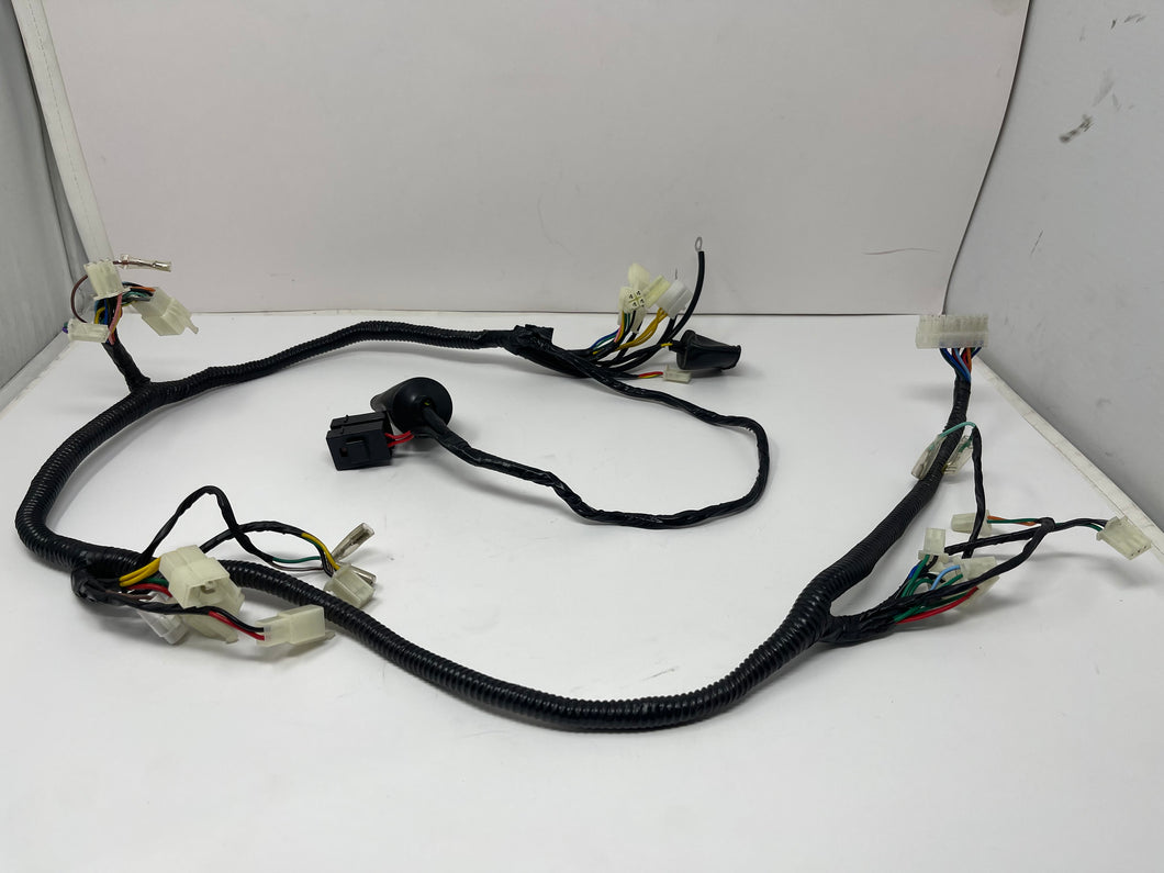 X22GT 250cc Automatic Motorcycle | Wiring Harness (YY350-6E-2002100)