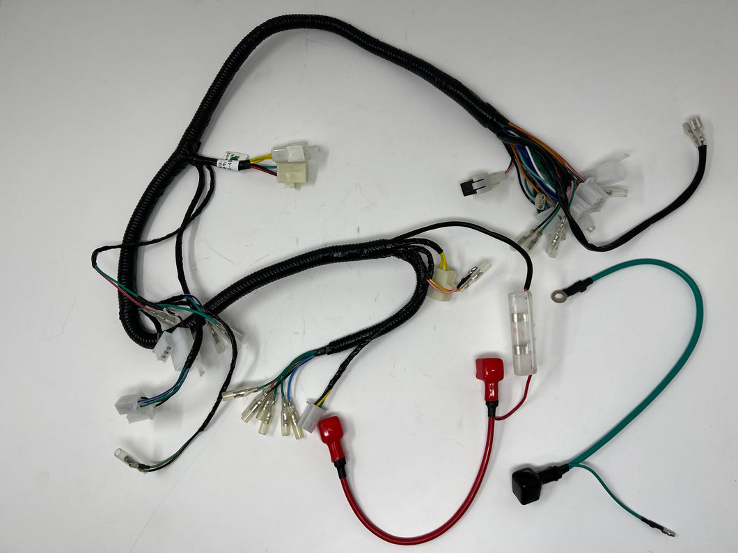 Sportster 250cc Chopper | Wiring Harness (08010137)