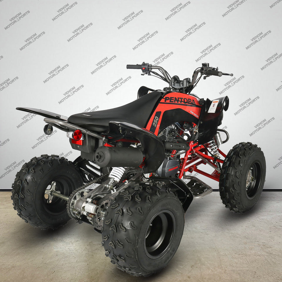 Venom Pentora 250cc | Adult ATV | 4-Speed Manual + Reverse
