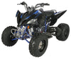 Venom Pentora 250cc | Adult ATV | 4-Speed Manual + Reverse Blue