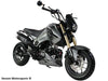 Venom x19R Fuerza | 125cc Motorcycle | 4-Speed