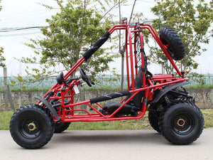 200cc Venom Spider Go-Kart | 2 Seater | Automatic + Reverse