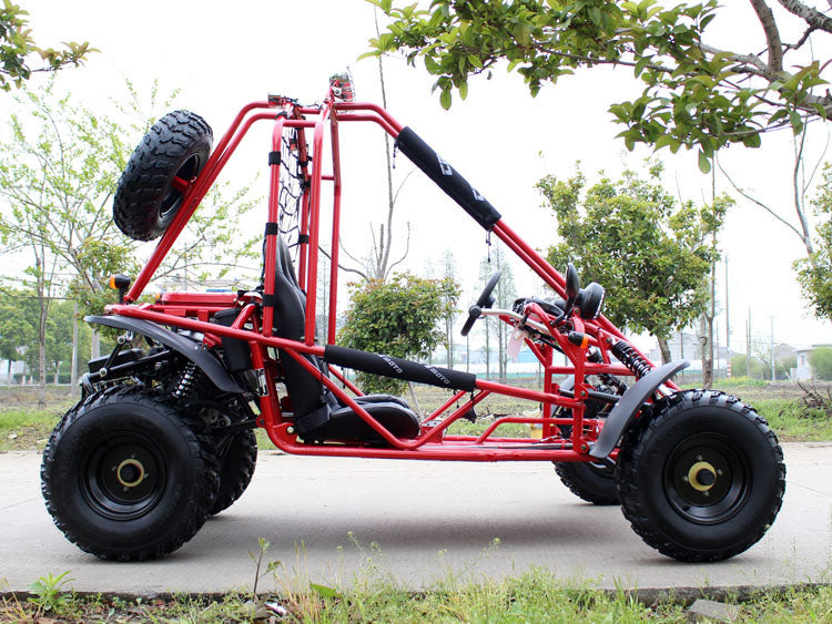 200cc Venom Spider Go-Kart | 2 Seater | Automatic + Reverse