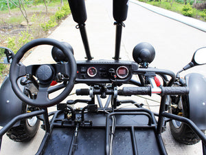 200cc Venom Spider Go-Kart | 2 Seater | Automatic + Reverse
