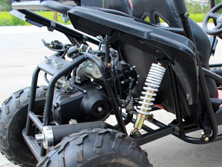 Buy 125Gks 110Cc Go Kart Rps Powersports Dune Buggy DF125GKS Usa – Venom  Motorsports USA