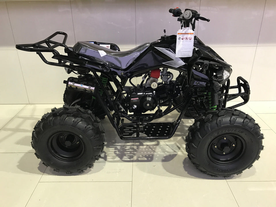 125cc ATV Quad 3125CX-2 ATV 3125C-2 Free Shipping Sport Coolster