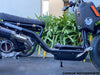 50cc Maddog Scooter | Generation 5 | Automatic Transmission