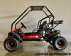 Venom Ultimate Go Kart | 2-Seater | 125cc | Automatic + Reverse