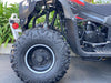 Venom Lander 125cc ATV | Fully Automatic + Reverse | XD-125UF