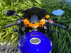 Venom x22R Ninja | 250cc Motorcycle | 5 Speed