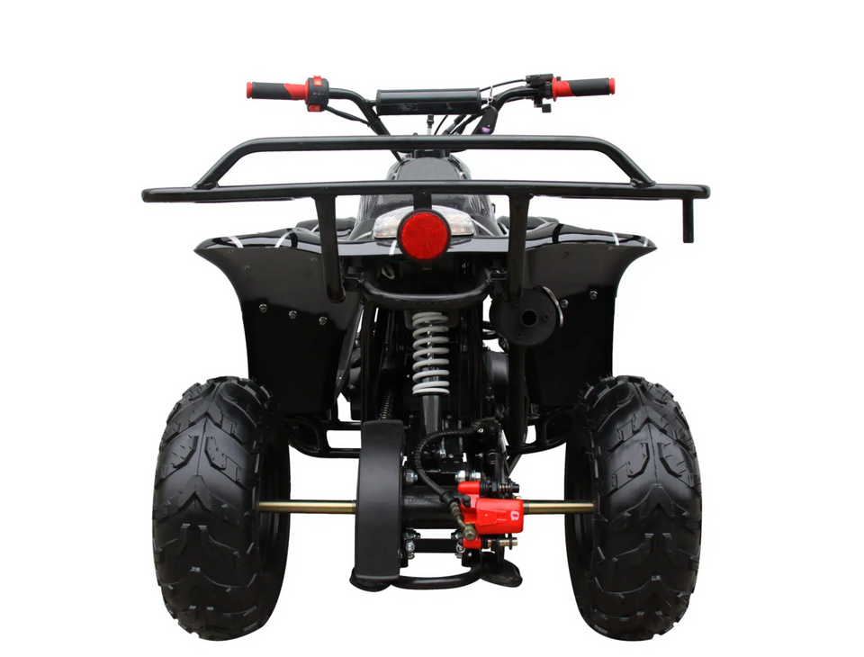 Rex 110cc ATV | 4-Stroke Automatic Transmission