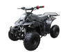 Rex 110cc ATV | 4-Stroke Automatic Transmission