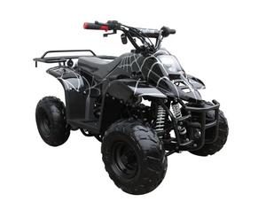 Rex 110cc ATV | 4-Stroke Automatic Transmission