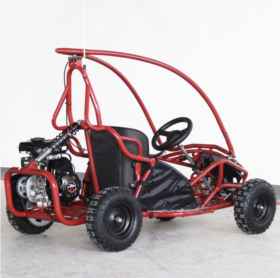 Paket] Kinderbuggy Go-Kart für Kinder mit 80ccm 4 Takt-Motor - GRÜN