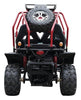 200cc Venom Go-Kart | 4 Seater | Automatic Transmission + Reverse