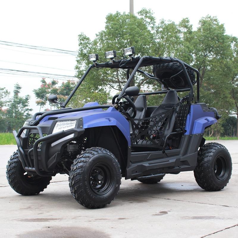 Dongfang 200cc go kart shop