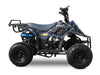 Rex 110cc ATV | 4-Stroke Automatic Transmission Spider Black