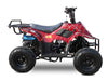 Rex 110cc Mototec ATV. Kids gasa quad rex mototec usa